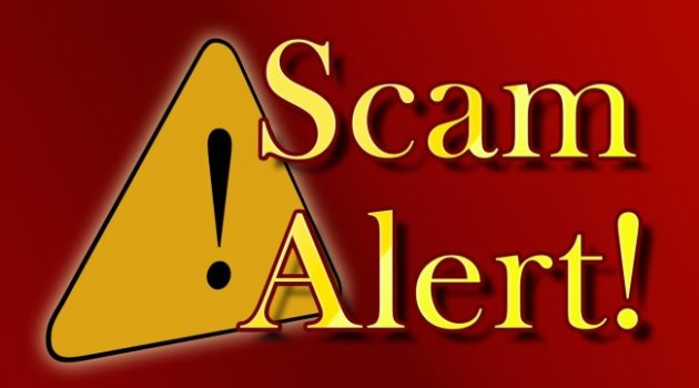 GoWild Report: Beware Ammo Scammers