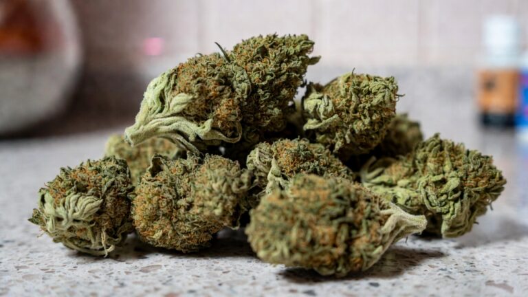 Close-up of dried cannabis buds with orange hairs on a speckled kitchen counter.