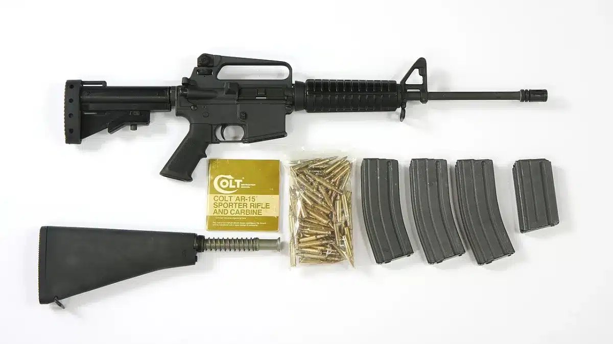 Semiautomatic rifle affected by state magazine capacity laws
